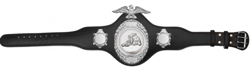 JIU JITSU CHAMPIONSHIP BELT-PLT288/S/JJS-4 COLOURS JIU JITSU CHAMPIONSHIP BELT-PLT288/S/JJS-4 COLOURS